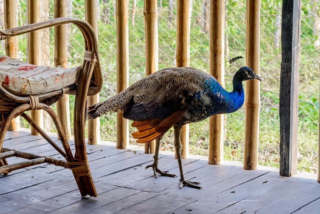 Sarang Wildlife Sanctuary Hotel Meghauli Bagian luar foto